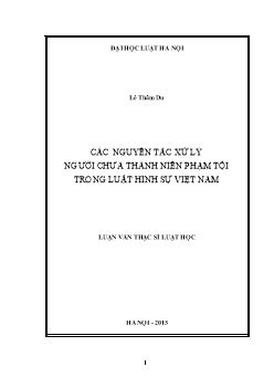 Các nguyên tắc xử lý người chưa thành niên phạm tội trong luật hình sự Việt Nam