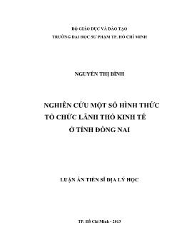 Luận án Nghiên cứu một số hình thức tổ chức lãnh thổ kinh tế ở tỉnh Đồng Nai