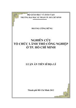 Luận án Nghiên cứu tổ chức lãnh thổ công nghiệp ở tp. Hồ Chí Minh