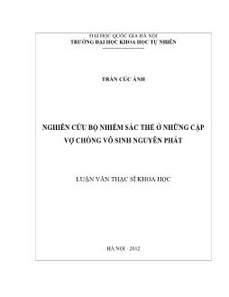 Luận văn Nghiên cứu bộ nhiễm sắc thể ở những cặp vợ chồng vô sinh nguyên phát