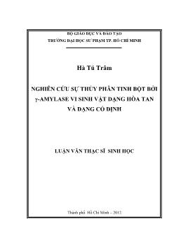 Luận văn Nghiên cứu sự thủy phân tinh bột bởi Y - Amylase vi sinh vật dạng hòa tan và dạng cố định