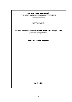 Luận văn Nghiên cứu thành phần hóa học vỏ quả măng cụt xanh (garcinia mangostana l.)