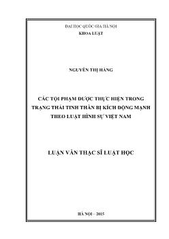 Các tội phạm được thực hiện trong trạng thái tinh thần bị kích động mạnh theo luật hình sự Việt Nam