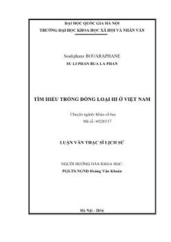 Khảo cổ học - Tìm hiểu trống đồng loại III ở Việt Nam