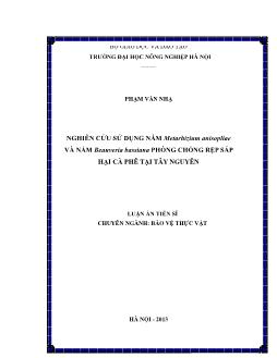 Luận án Nghiên cứu sử dụng nấm Metarhizium anisopliae và nấm Beauveria bassiana phòng chống rệp sáp hại cà phê tại Tây Nguyên