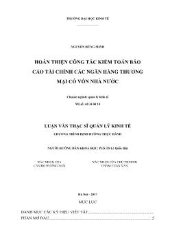 Luận văn Hoàn thiện công tác kiểm toán Báo cáo tài chính các ngân hàng thương mại có vốn nhà nước