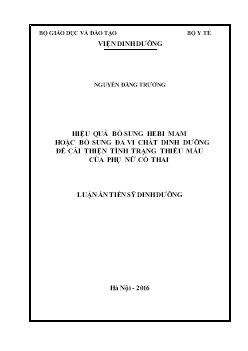 Luận án Hiệu quả bổ sung hebi mam hoặc bổ sung đa vi chất dinh dưỡng để cải thiện tình trạng thiếu máu của phụ nữ có thai