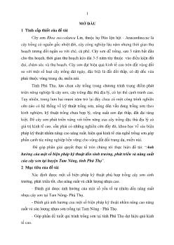 Tóm tắt Luận án Ảnh hưởng của một số biện pháp kỹ thuật đến sinh trưởng, phát triển và năng suất của cây sơn tại huyện Tam Nông, tỉnh Phú Thọ