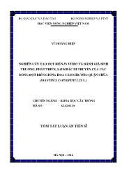 Tóm tắt Luận án Nghiên cứu tạo đột biến in vitro và đánh giá sinh trưởng, phát triển, sai khác di truyền của các dòng đột biến giống hoa cẩm chướng Quận Chúa (Dianthus caryophyllus L.)