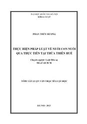 Tóm tắt Luận văn Thực hiện pháp luật về nuôi con nuôi qua thực tiễn tại Thừa Thiên Huế