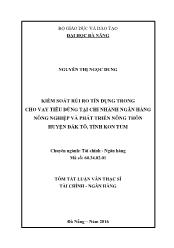 Tóm tắt Luận văn Kiểm soát rủi ro tín dụng trong cho vay tiêu dùng tại Chi nhánh Ngân hàng Nông nghiệp và phát triển nông thôn huyện Đak tô tỉnh Kon Tum