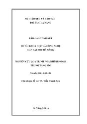 Báo cáo Đề tài Nghiên cứu quá trình hóa khí biomass trong tầng sôi