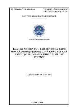 Luận án Nghiên cứu tạo rễ tơ cây Bạch hoa xà (Plumbago zeylanica L.) và khảo sát khả năng tạo Plumbagin trong nuôi cấy in vitro