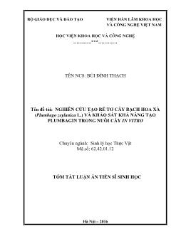 Tóm tắt Luận án Nghiên cứu tạo rễ tơ cây Bạch hoa xà (Plumbago zeylanica L.) và khảo sát khả năng tạo Plumbagin trong nuôi cấy in vitro