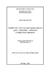 Tóm tắt Luận văn Nghiên cứu tạo vật liệu kháng khuẩn AgNP - Curcumin - Chitosan có khả năng trị bỏng