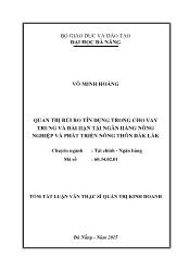 Tóm tắt Luận văn Quản trị rủi ro tín dụng trong cho vay trung và dài hạn tại Ngân hàng nông nghiệp và phát triển nông thôn Đắk Lắk