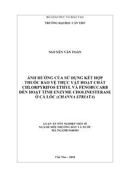 Luận án Ảnh hưởng của sử dụng kết hợp thuốc bảo vệ thực vật hoạt chất Chlorpyrifos Ethyl và Fenobucarb đến hoạt tính Enzyme Cholinesterase ở cá lóc (Channa Striata) - Nguyễn Văn Toàn