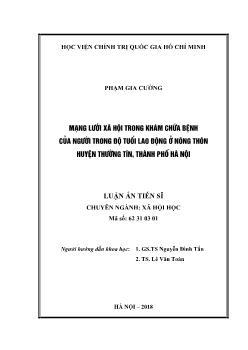 Luận án Mạng lưới xã hội trong khám chữa bệnh của người trong độ tuổi lao động ở nông thôn huyện Thường Tín, thành phố Hà Nội - Phạm Gia Cường