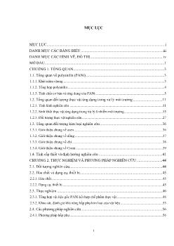 Luận án Mô hình pilot hay công nghệ xử lý hoàn thiện hơn nữa để xử lý nước thải mạ ô nhiễm Cr(VI), Pb(II) bằng 02 mẫu vật liệu PANi-C6 PANi-S8 này