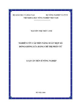 Luận án Nghiên cứu cải tiến năng suất một số dòng/giống lúa bằng chỉ thị phân tử - Nguyễn Thị Thúy Anh