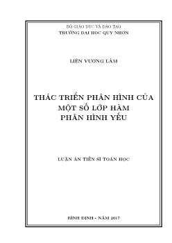 Luận án Thác triển phân hình của một số lớp hàm phân hình yếu - Liên Vương Lâm