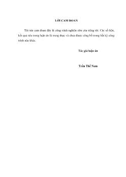 Luận án Thiết kế, chế tạo thiết bị hòa trộn liên tục dầu cọ - dầu do và đánh giá chất lượng thông qua mô phỏng - Trần Thế Nam