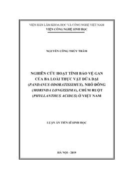 Luận án Nghiên cứu hoạt tính bảo vệ gan của ba loài thực vật dứa dại (Pandanus Odoratissimus), nhó đông (morinda longissima), chùm ruột (Phyllanthus Acidus) ở Việt Nam - Nguyễn Công Thùy Trâm