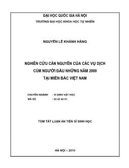 Tóm tắt Luận án Nghiên cứu căn nguyên của các vụ dịch cúm người đầu những năm 2000 tại miền Bắc Việt Nam - Nguyễn Lê Khánh Hằng