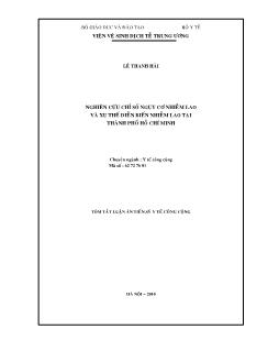 Tóm tắt Luận án Nghiên cứu chỉ số nguye cơ nhiễm lao và xu thế diễn biến nhiễm lao tại thành phố Hồ Chí Minh - Lê Thanh Hải