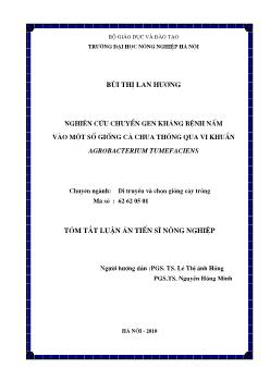 Tóm tắt Luận án Nghiên cứu chuyển gen kháng bệnh nấm vào một số giống cà chua thông qua vi khuẩn Agrobacterium Tumefaciens