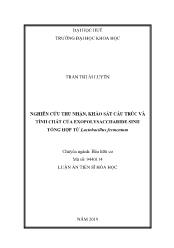 Tóm tắt Luận án Nghiên cứu thu nhận, khảo sát cấu trúc và tính chất của Exopolysaccharide sinh tổng hợp từ Lactobacillus Fermentum - Trần Thị Ái Luyến