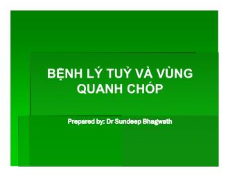 Bài giảng Bệnh lý tuỷ và vùng quanh chóp