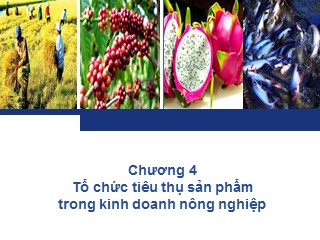 Bài giảng Quản trị kinh doanh nông nghiệp - Chương 4: Tổ chức tiêu thụ sản phẩm trong kinh doanh nông nghiệp - Nguyễn Hà Hưng