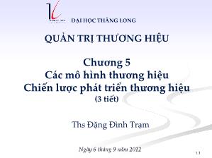 Bài giảng Quản trị thương hiệu - Chương 5: Các mô hình thương hiệu chiến lược phát triển thương hiệu - Đặng Đình Trạm