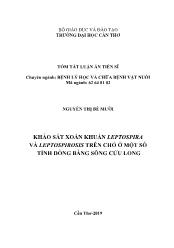 Tóm tắt Luận án Khảo sát xoắn khuẩn Leptospira và Leptospirosis trên chó ở một số tỉnh đồng bằng sông Cửu Long