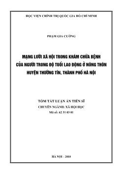 Tóm tắt Luận án Mạng lưới xã hội trong khám chữa bệnh của người trong độ tuổi lao động ỏ nông thôn huyện Thường Tín, thành phố Hà Nội