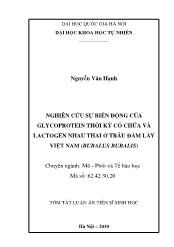 Tóm tắt Luận án Nghiên cứu sự biến động của Glycoprotein thời kỳ có chửa và Lactogen nhau thai ở trâu đầm lầy Việt Nam (Bubalus Bubalis)