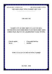Tóm tắt Luận án Nghiên cứu sự biểu hiện của gen mã hóa Methionine Sulfoxide Reductase trong điều kiện stress mặn, hạn ở cây Arabidopsis và đậu tương
