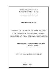 Tóm tắt Luận án Nghiên cứu thu nhận, xác định đặc tính của Tyrosinase từ chủng Aspergillus Oryzae TP01 và thăm dò khả năng ứng dụng
