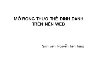 Bài giảng Mở rộng thực thể định danh trên nền Web - Nguyễn Tiến Tùng