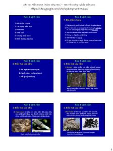 Bài giảng Bệnh cây đại cương - Phần 2: Chuyên khoa - Bài 4: Nấm và bệnh nấm