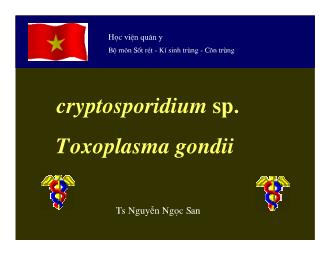 Bài giảng Cryptosporidium sp. Toxoplasma gondii