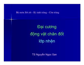 Bài giảng Đại cương động vật chân đốt lớp nhện - Nguyễn Ngọc San