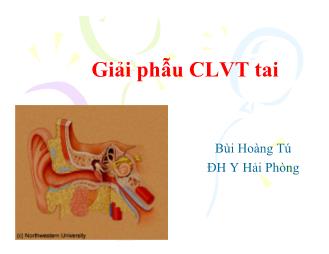 Bài giảng Giải phẫu CLVT tai
