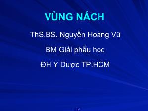 Bài giảng Giải phẫu học - Vùng nách - Nguyễn Hoàng Vũ