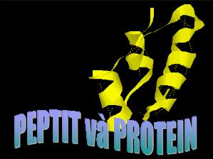 Bài giảng Hóa học Lớp 12 - Bài 11: Peptit và Protein