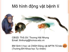 Bài giảng Mô hình động vật bệnh lí - Trương Hải Nhung