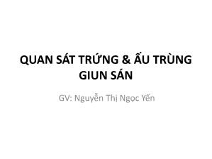 Bài giảng Quan sát trứng và ấu trùng giun sán - Nguyễn Thị Ngọc Yến