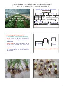 Bài giảng Sản xuất giống và công nghệ hạt giống - Chương 9: Kỹ thuật sản xuất giống đối với cây sinh sản vô tính