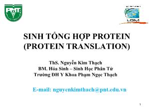 Bài giảng Sinh tổng hợp Protein